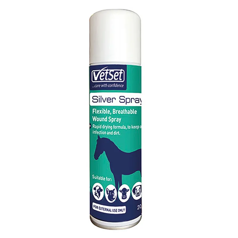 Vetset Aluminium Silver Spray - 250ml
