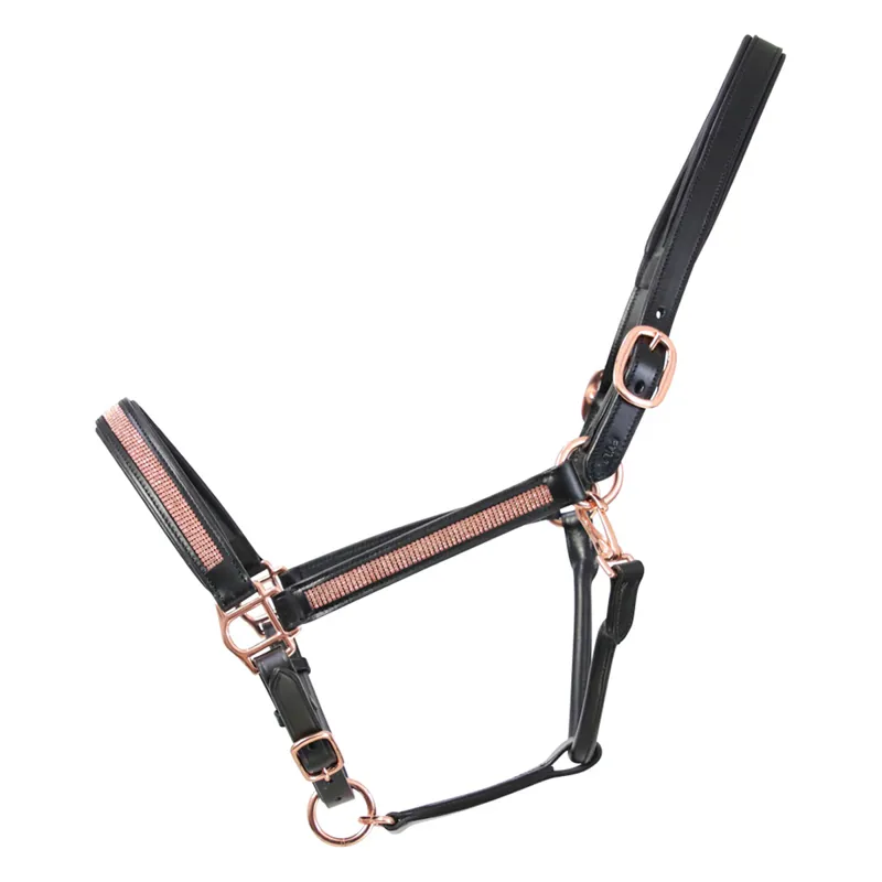 Hy Equestrian Rosciano Rose Gold Headcollar - Black