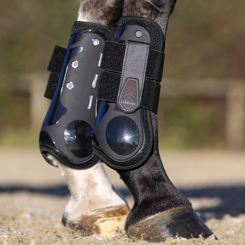 LeMieux Derby ProJump Tendon Boot - Black-3