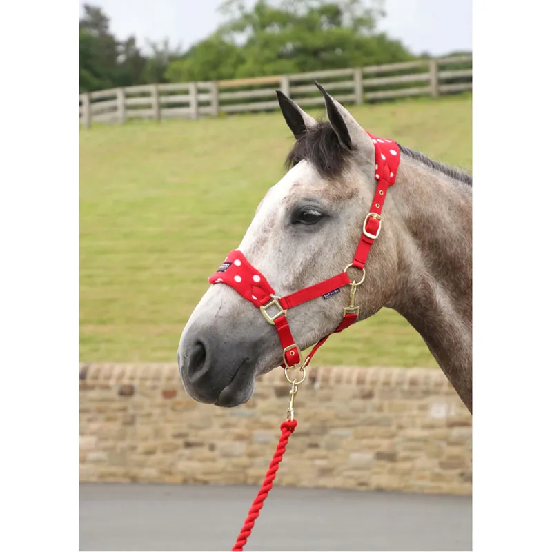 Supreme Products Dotty Fleece Head Collar and Lead Rope - Rosette Red
