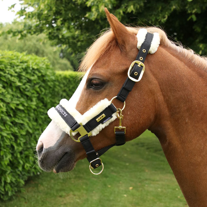 Supreme Products Royal Occasion Head Collar - Black-2