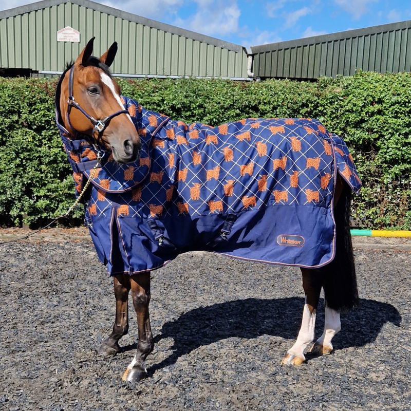 John Whitaker Angus Highland Cow 170g Turnout Rug - Limited Edition-1