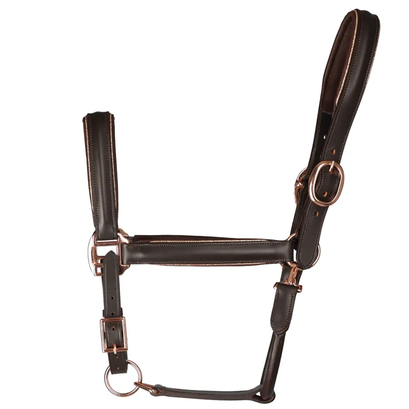 Hy Equestrian Chromatic Leather Headcollar - Brown-1
