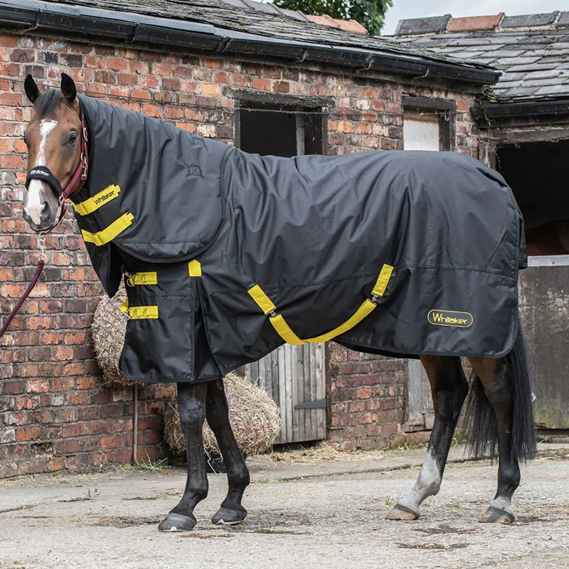 John Whitaker Ludworth 200g Combo Turnout Rug - Black