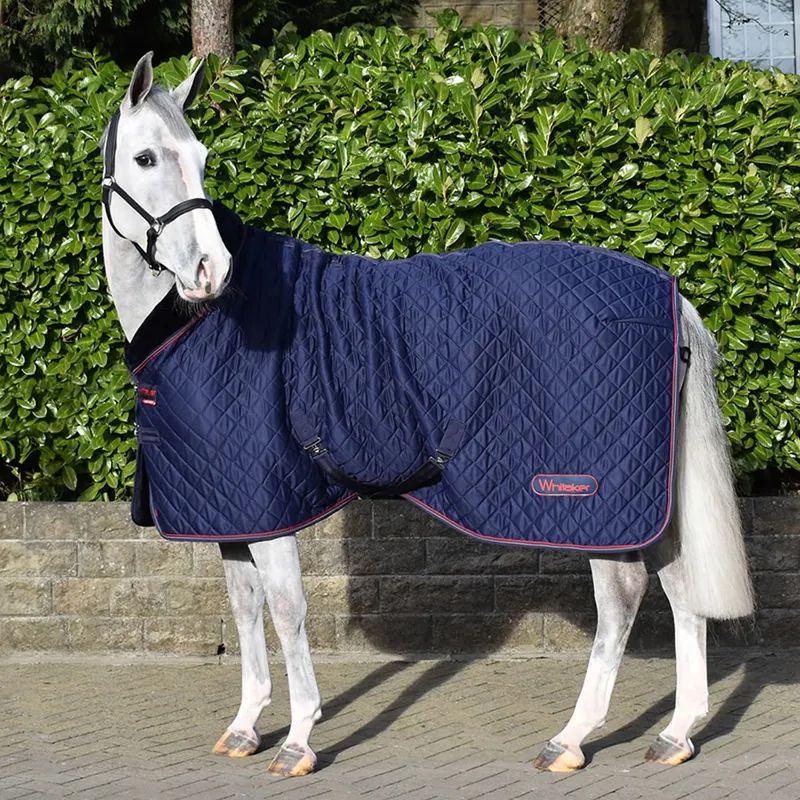 John Whitaker Rastrick Cosy Stable Rug - Navy