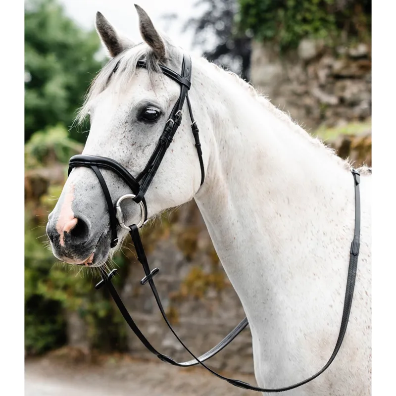 Mackey Legend Athena Bridle - Black