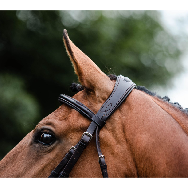 Mackey Legend Athena Bridle - Black-1