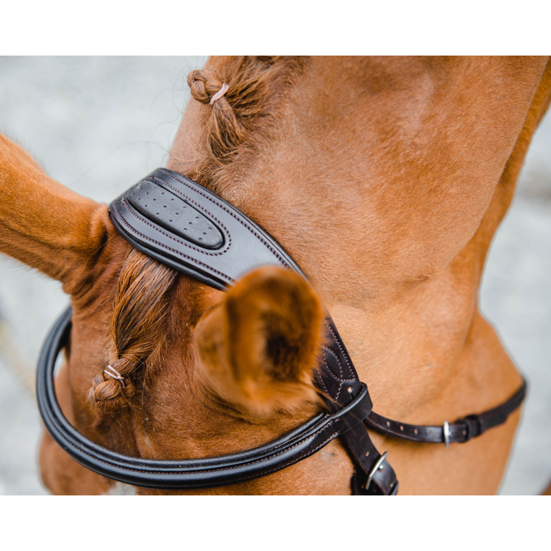 Mackey Legend Athena Bridle - Black-2