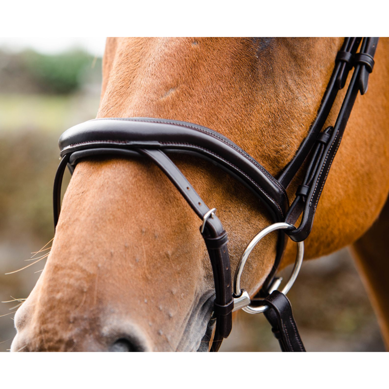 Mackey Legend Athena Bridle - Black-3