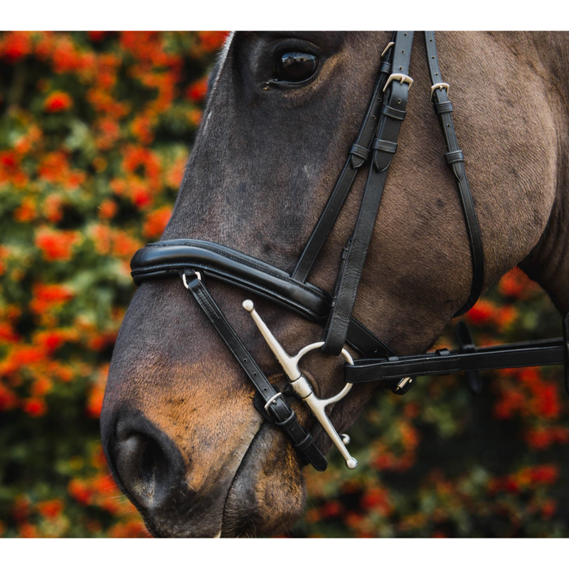 Mackey Legend Apollo Bridle - Brown-2