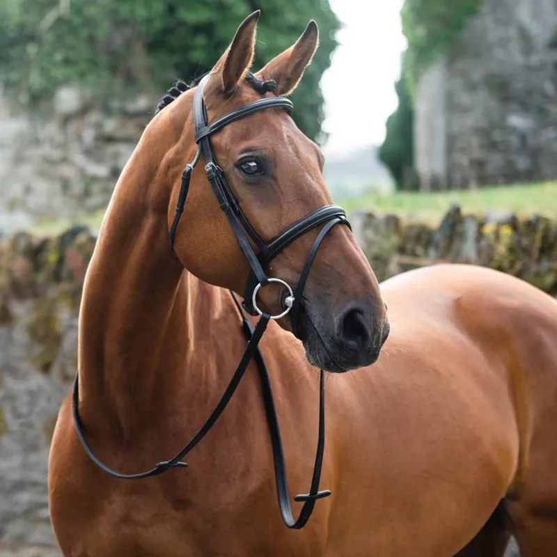 Mackey Legend Flash Bridle - Black