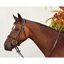 Mackey Legend Flash Bridle - Brown