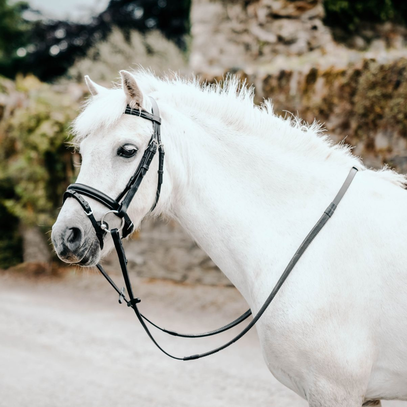 Mackey Classic Flash Bridle - Black-1