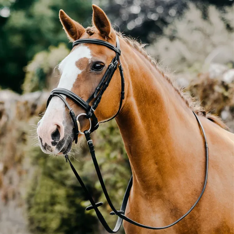 Mackey Classic Flash Bridle - Black