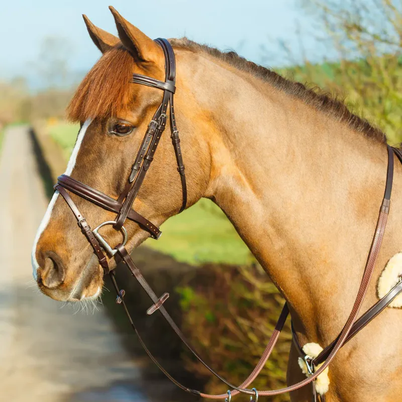 Mackey Classic Padded Flash Bridle - Brown