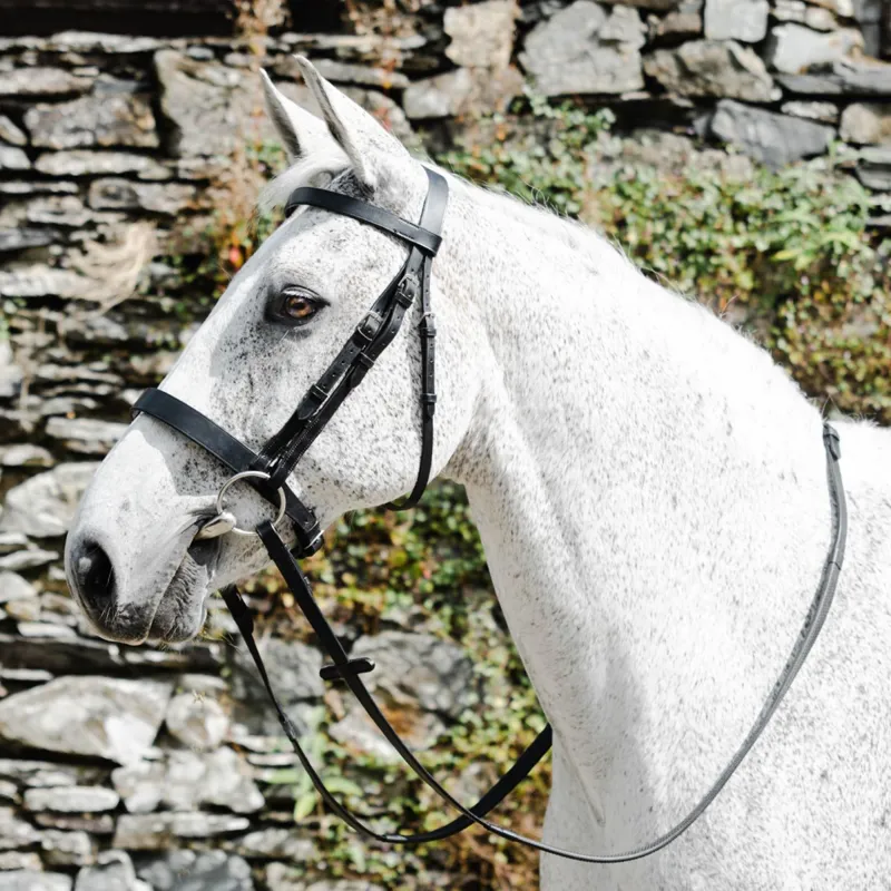 Mackey Classic Hunt Bridle - Black