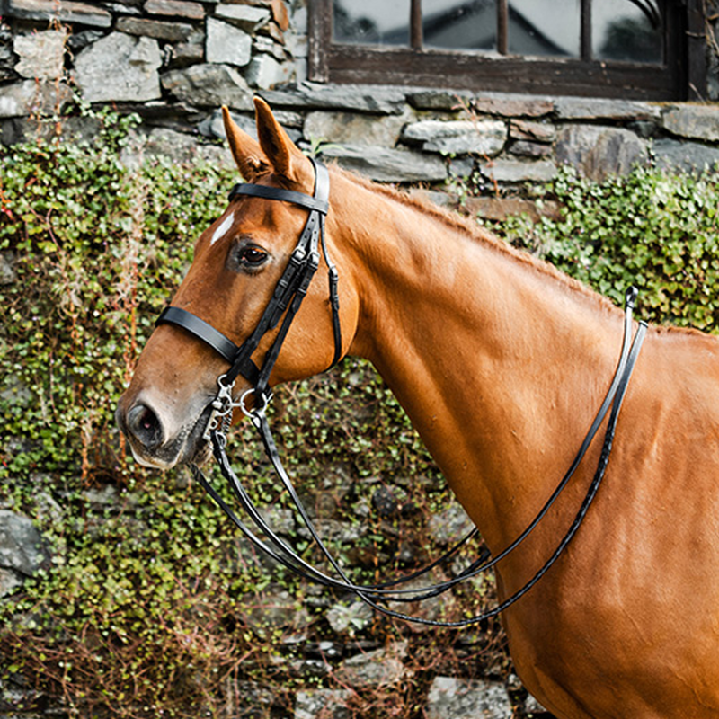 Mackey Classic Double Bridle - Black-1