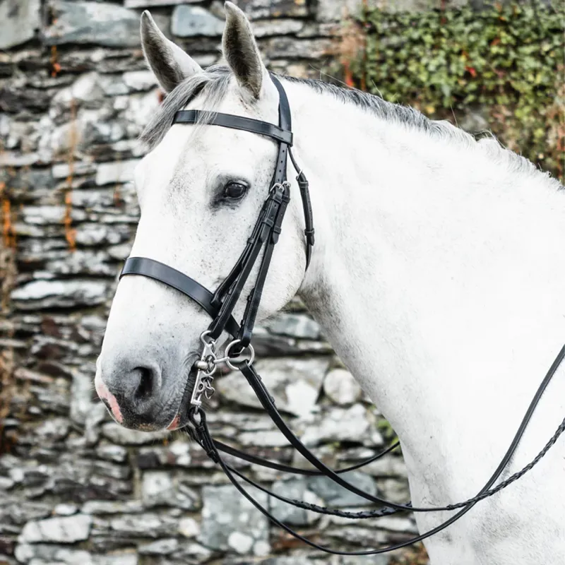 Mackey Classic Double Bridle - Black