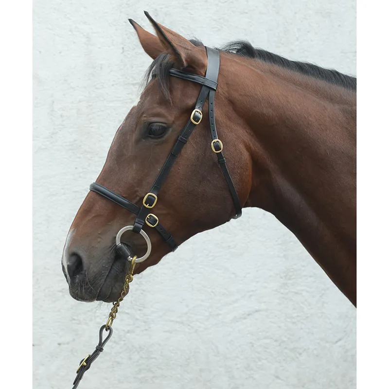 Mackey Classic In-Hand Bridle - Black