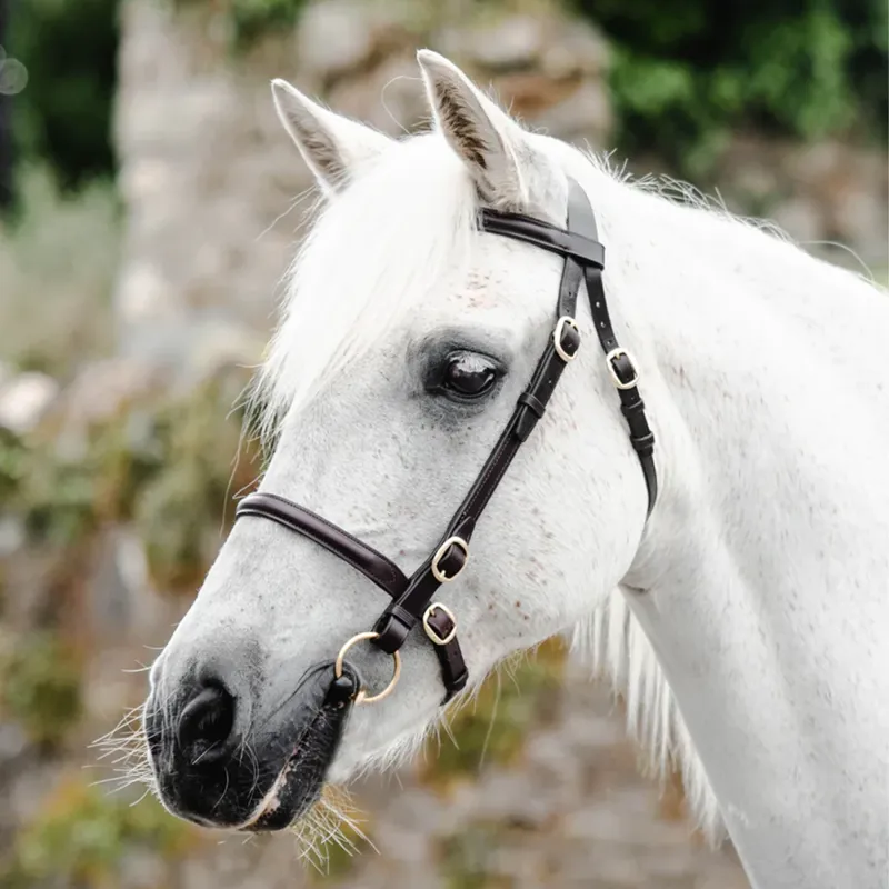 Mackey Classic In-Hand Bridle - Brown