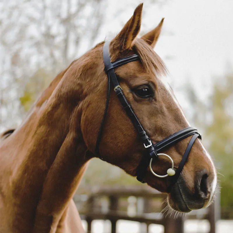 EquiSential Bridle - Black