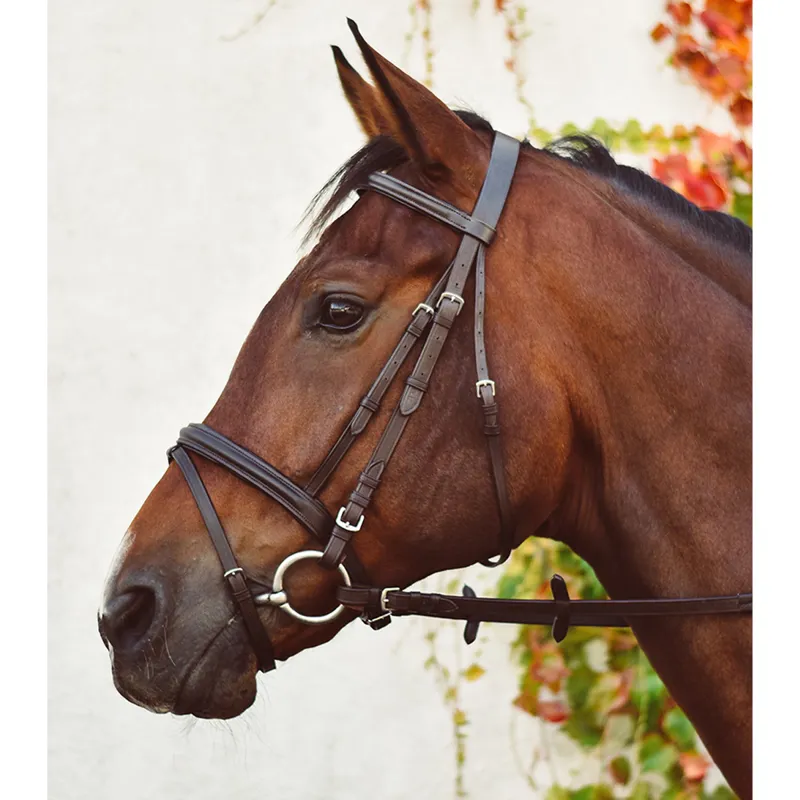 EquiSential Bridle - Brown