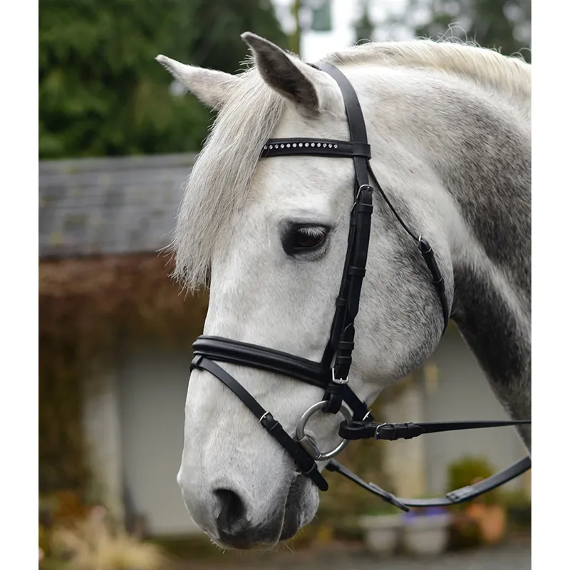EquiSential Bling Bridle - Black