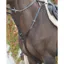 Mackey Classic Hunting Breastplate - Black
