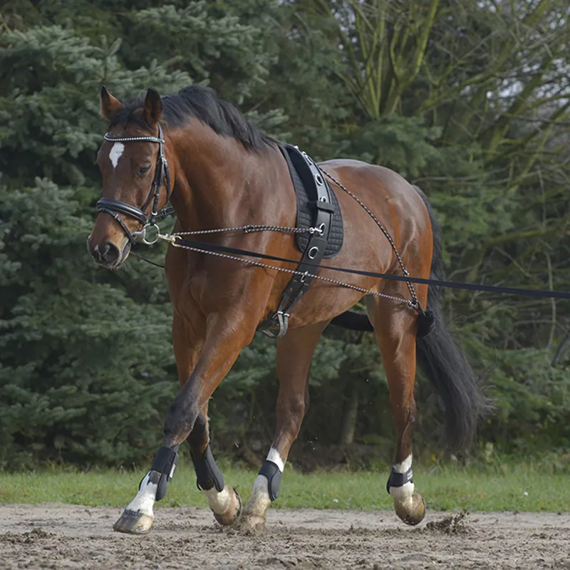 Waldhausen Lunging System - Black