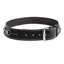 Tredstep Curve Belt - Black