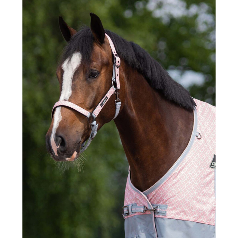 QHP Headcollar Set With Turnout Collection - Primrose-2
