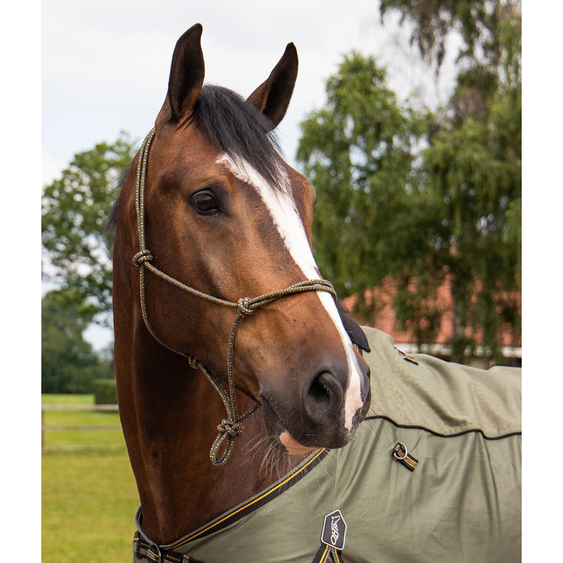 QHP Rope Halter Collection - Safari-2