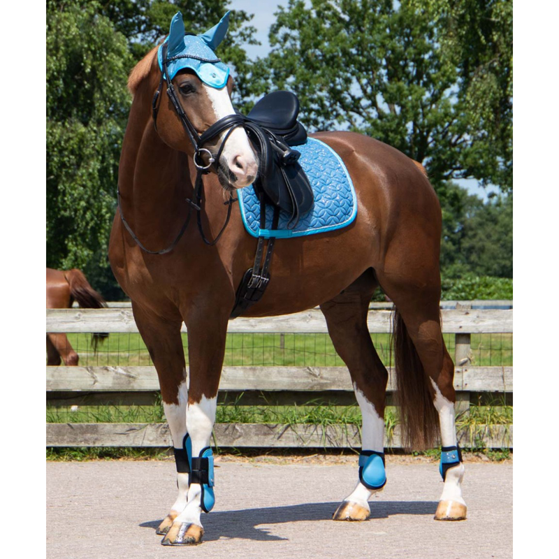 QHP Saddlepad Rio - Ice Blue-5
