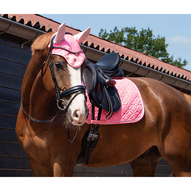QHP Saddlepad Rio - Powder Pink-5