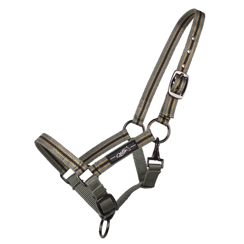 QHP Headcollar Foal Collection - Safari