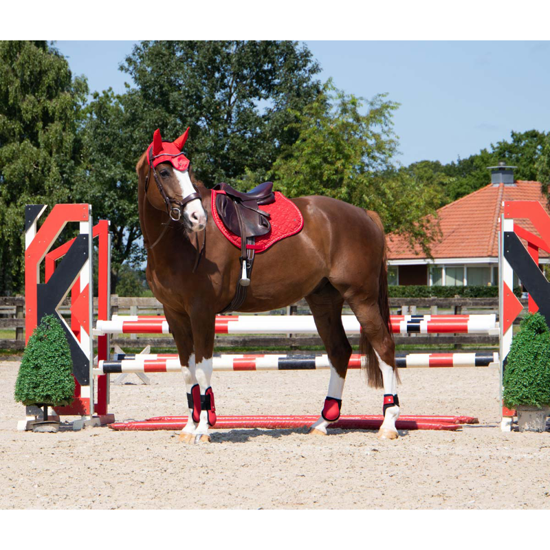 QHP Saddlepad Rio - Red-5