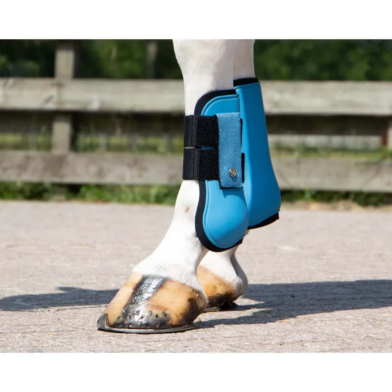 QHP Tendon Boot Rio - Ice Blue-2