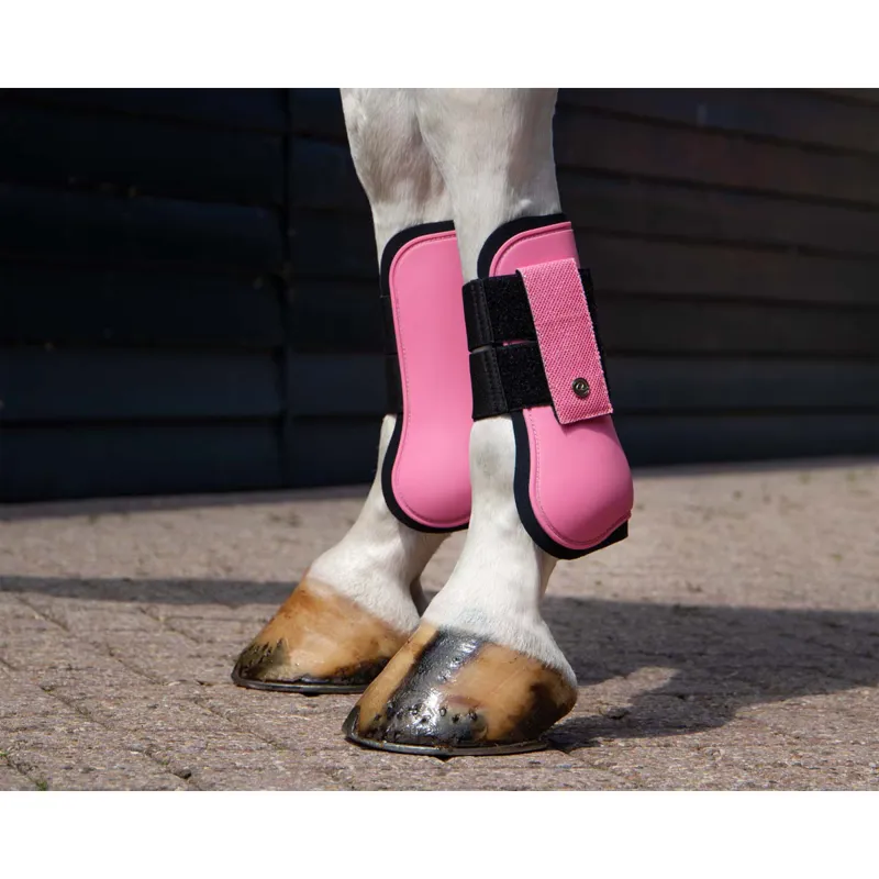 QHP Tendon Boot Rio - Powder Pink-2