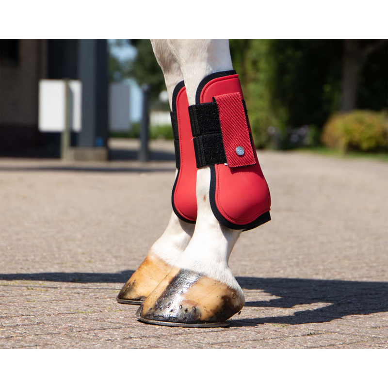 QHP Tendon Boot Rio - Red-2