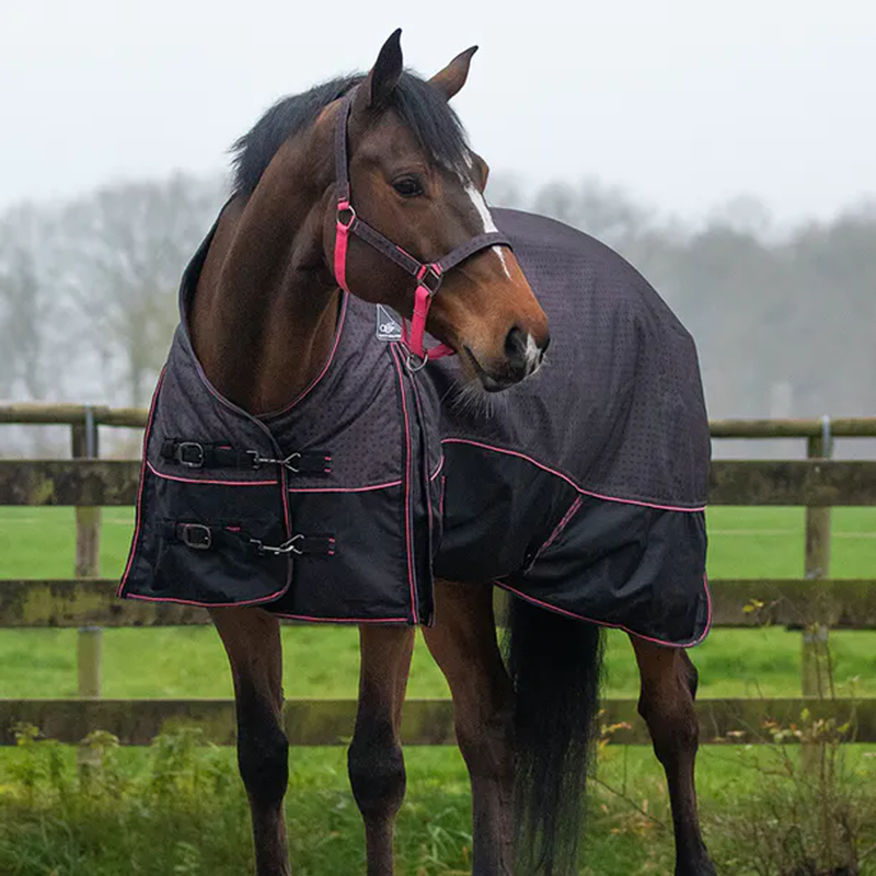 QHP Turnout Rug Collection 150g - Puzzle-1