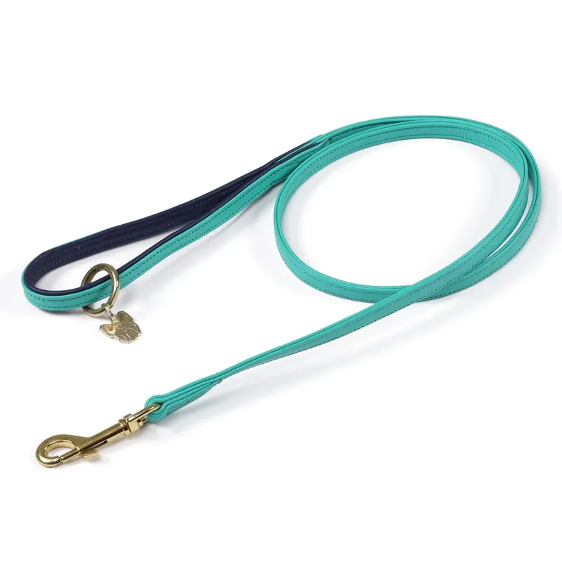 Shires Digby And Fox Padded Leather Dog Lead - Aqua
