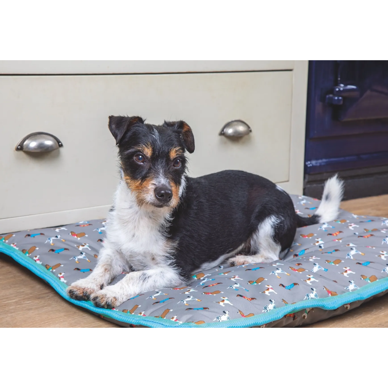 Digby And Fox Waterproof Dog Bed - Dogs-1
