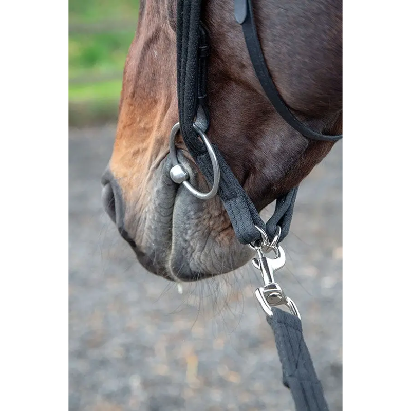 Shires ARMA Lunging Adapter - Black -1