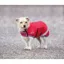 Shires Digby And Fox Waterproof Dog Rug Coat - Red