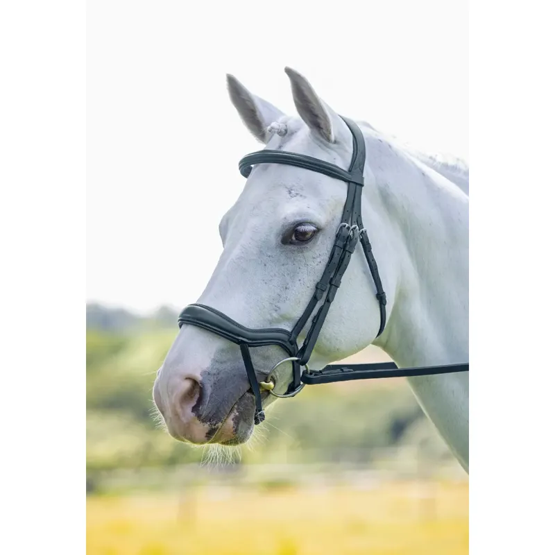 Shires Velociti RAPIDA Ergonomic Flash Bridle - Black