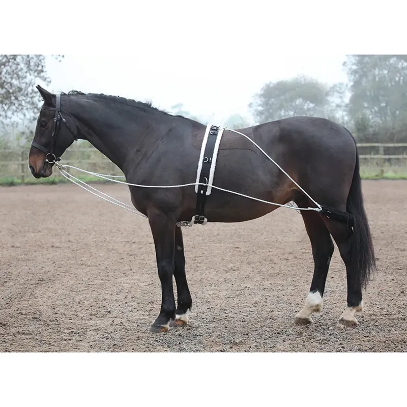 Shires ARMA Lunging Aid