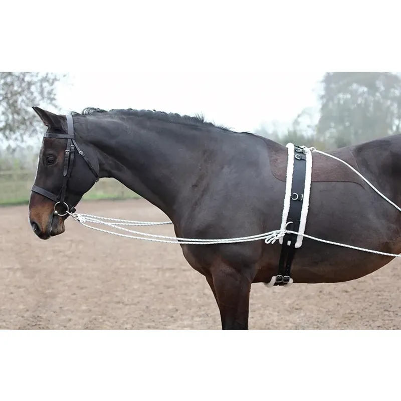 Shires ARMA Lunging Aid-1