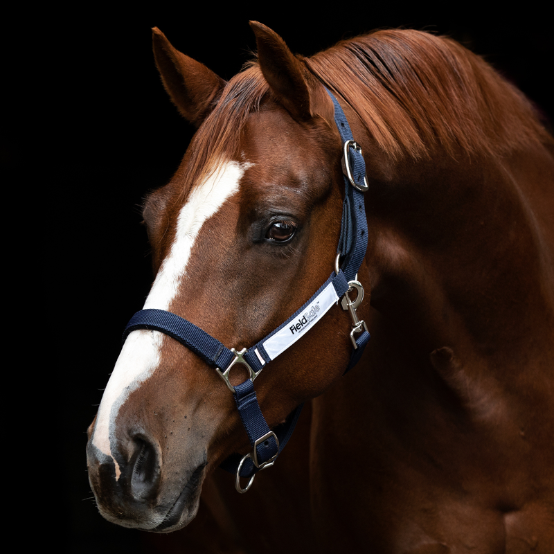 Horseware Field Safe Headcollar - Navy-1