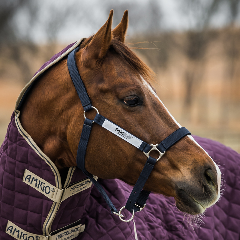 Horseware Field Safe Headcollar - Navy-2