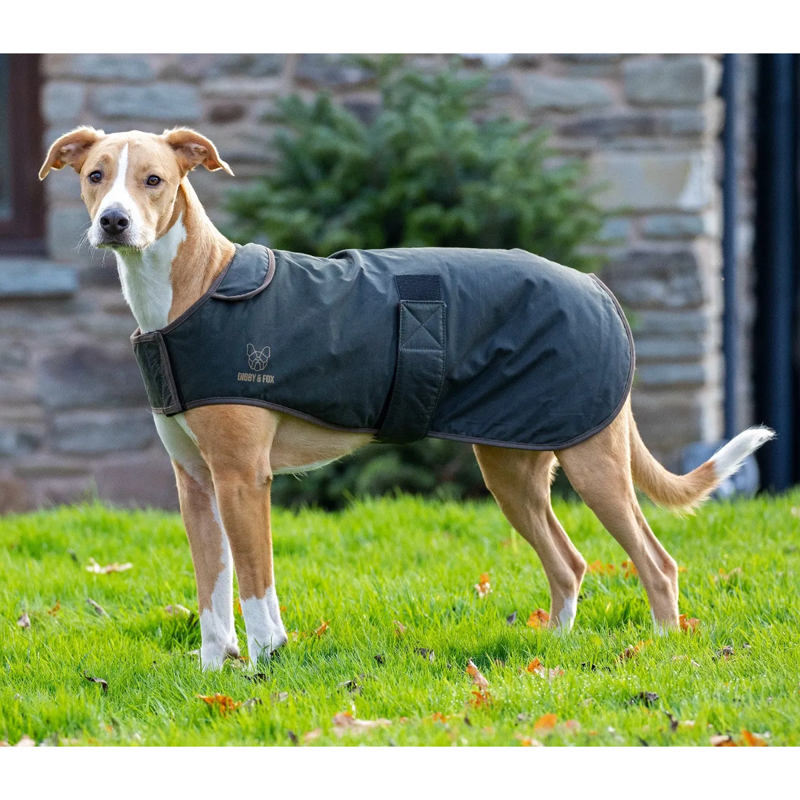 Shires Digby And Fox Wax Coat - Olive-2